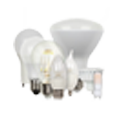 Light Section
